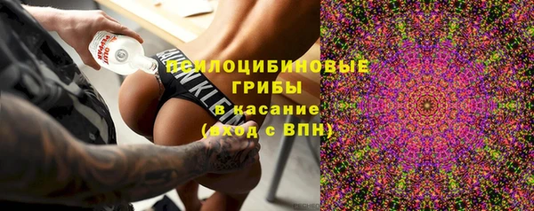 2c-b Костерёво