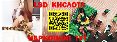 гидропоника Камышлов