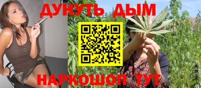 гидропоника Камышлов