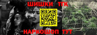 гидропоника Камышлов