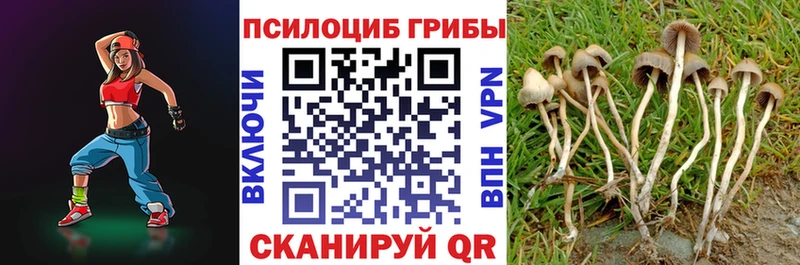 Галлюциногенные грибы мицелий  Сунжа 