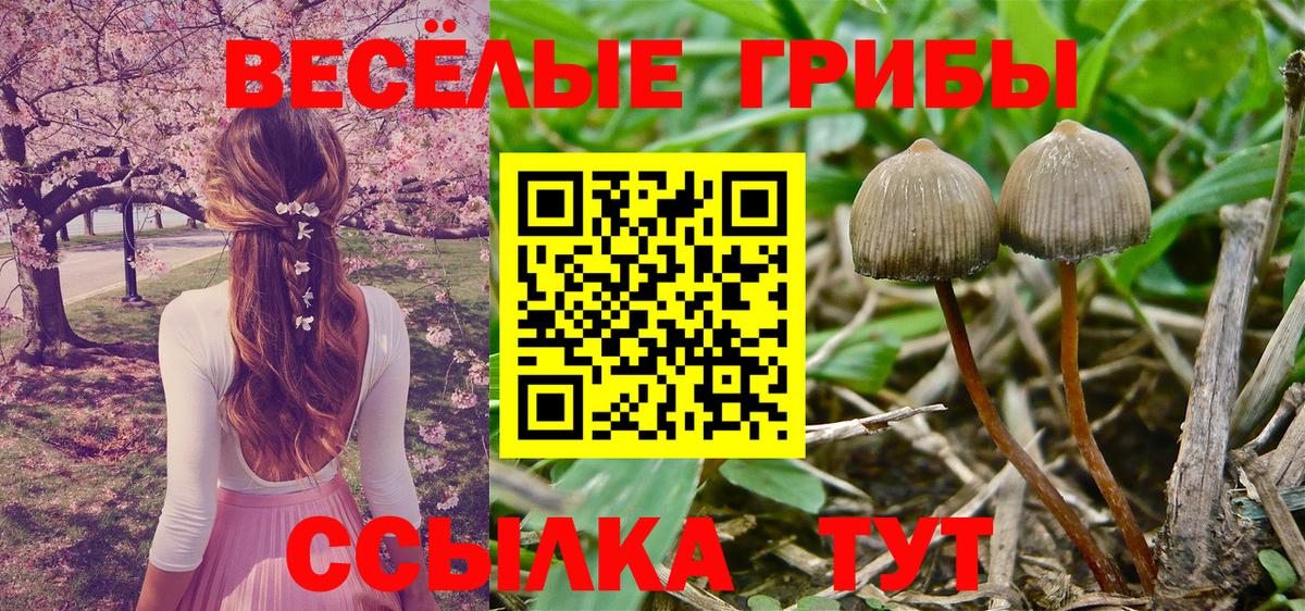 Псилоцибиновые грибы Magic Shrooms  Вход с VPN  Сунжа 