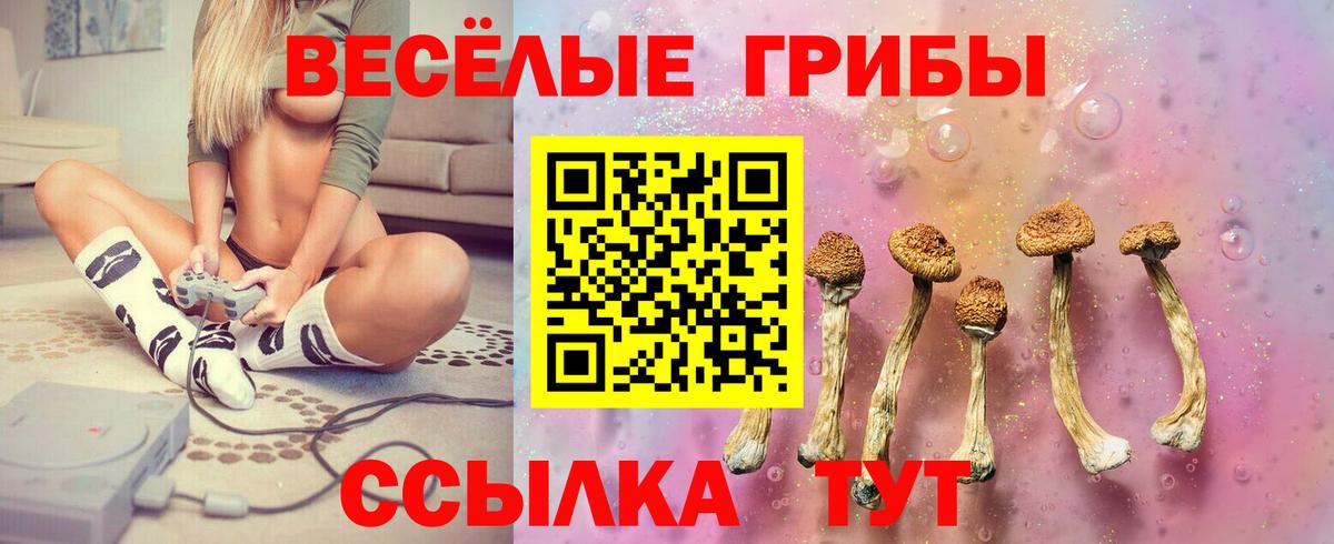 Галлюциногенные грибы мицелий Сунжа